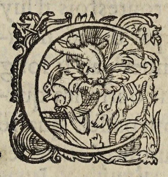 An illustration from Amnestie : ou, De l'oubliance des maux faicts et receus pendant les troubles & à l'occasion d'iceux., 1595, leaf 67
