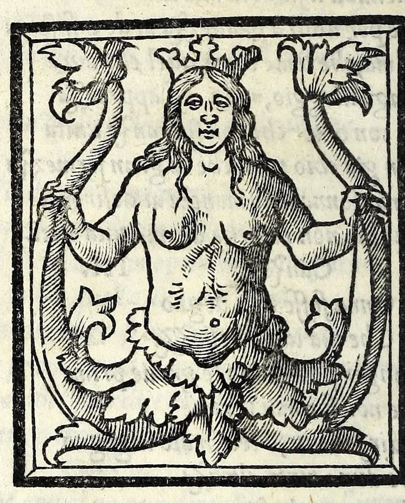 An illustration from Amore, 1535, leaf 100