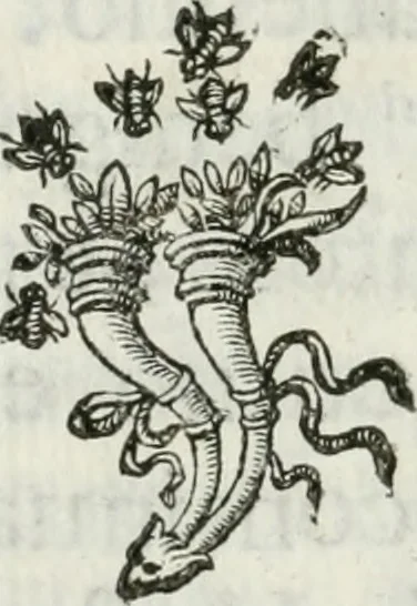 An illustration from Documenti d'amore, 1640, leaf 11
