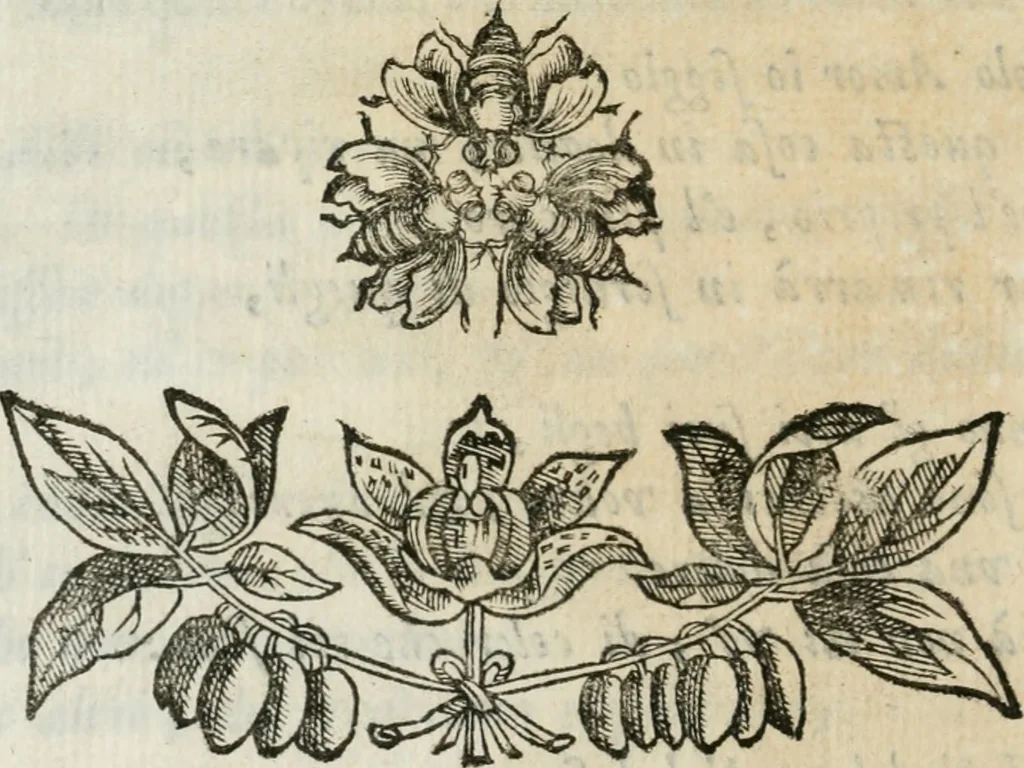 An illustration from Documenti d'amore, 1640, leaf 139