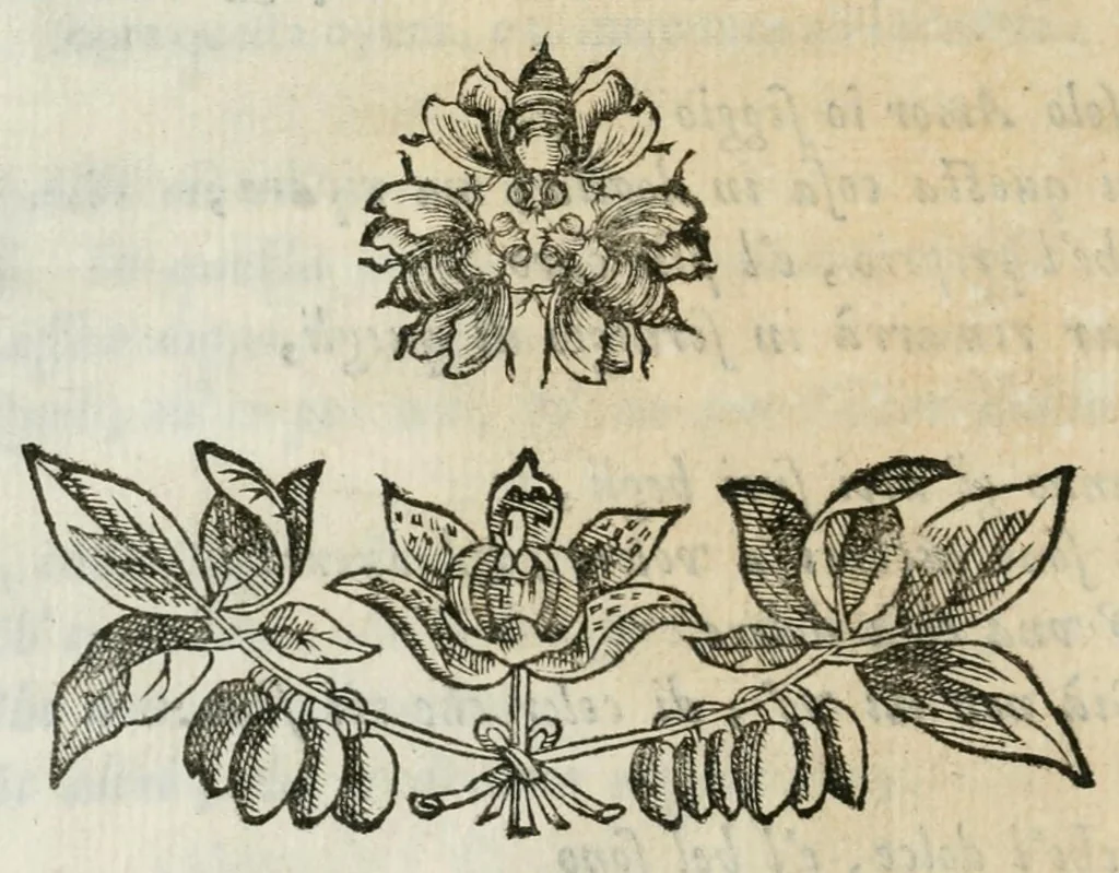 An illustration from Documenti d'amore, 1640, leaf 144