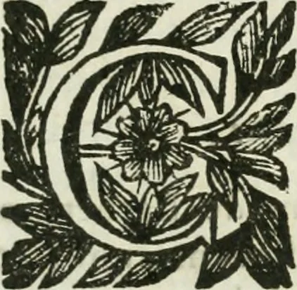 An illustration from Documenti d'amore, 1640, leaf 18