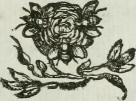 An illustration from Documenti d'amore, 1640, leaf 272