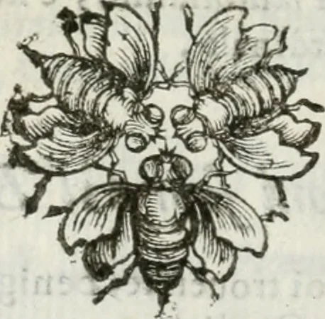 An illustration from Documenti d'amore, 1640, leaf 29