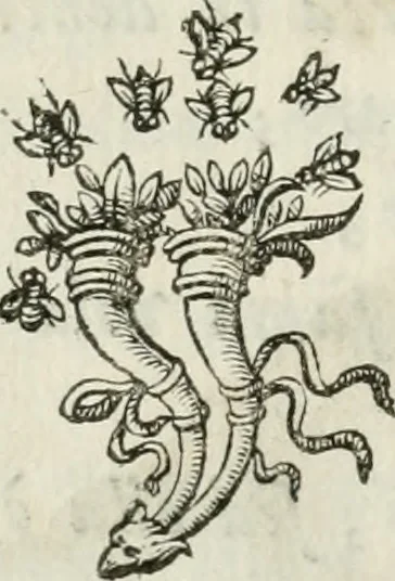 An illustration from Documenti d'amore, 1640, leaf 367