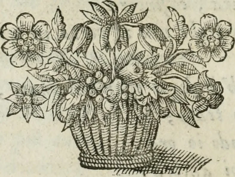 An illustration from Documenti d'amore, 1640, leaf 385