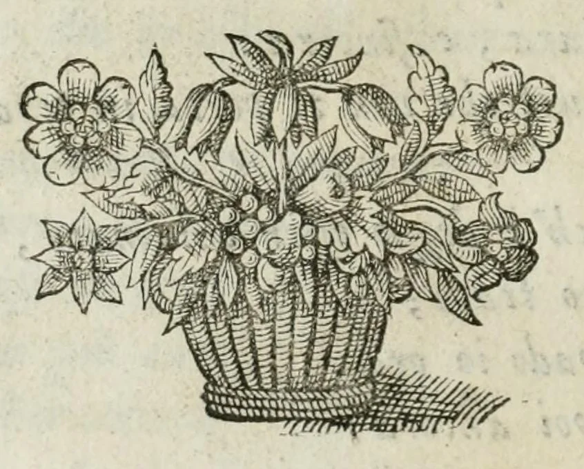 An illustration from Documenti d'amore, 1640, leaf 390