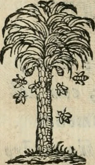 An illustration from Documenti d'amore, 1640, leaf 397