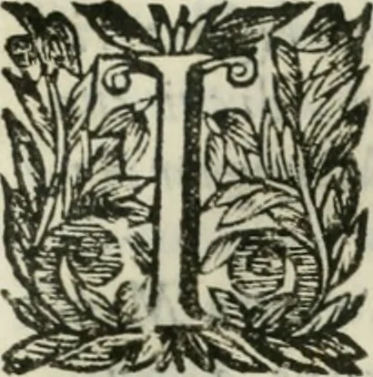 An illustration from Documenti d'amore, 1640, leaf 426