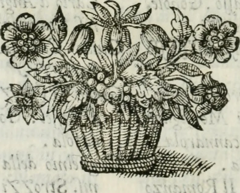 An illustration from Documenti d'amore, 1640, leaf 433