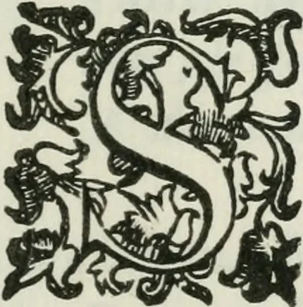 An illustration from Documenti d'amore, 1640, leaf 50
