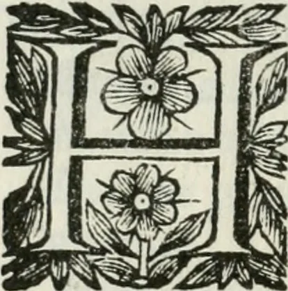 An illustration from Documenti d'amore, 1640, leaf 561