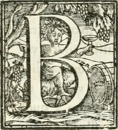 An illustration from Amore e gloria : festa d'armi a cavallo celebrata nel Regio Ducal Palazzo di Milano, 1669, leaf 8