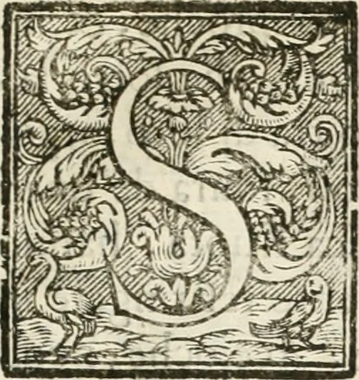 An illustration from Amore prigioniero in Delo : torneo fatto da' signori Academici torbidi in Bologna li XX. di marzo M.DC.XXVIII, 1628, leaf 10
