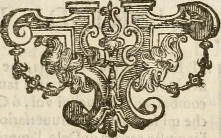 An illustration from Amore prigioniero in Delo : torneo fatto da' signori Academici torbidi in Bologna li XX. di marzo M.DC.XXVIII, 1628, leaf 102