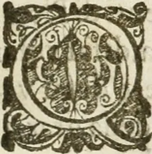An illustration from Amore prigioniero in Delo : torneo fatto da' signori Academici torbidi in Bologna li XX. di marzo M.DC.XXVIII, 1628, leaf 106