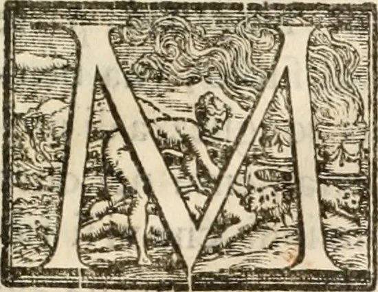 An illustration from Amore prigioniero in Delo : torneo fatto da' signori Academici torbidi in Bologna li XX. di marzo M.DC.XXVIII, 1628, leaf 110