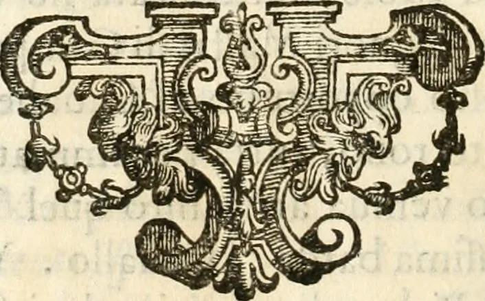 An illustration from Amore prigioniero in Delo : torneo fatto da' signori Academici torbidi in Bologna li XX. di marzo M.DC.XXVIII, 1628, leaf 135
