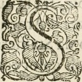 An illustration from Amore prigioniero in Delo : torneo fatto da' signori Academici torbidi in Bologna li XX. di marzo M.DC.XXVIII, 1628, leaf 40
