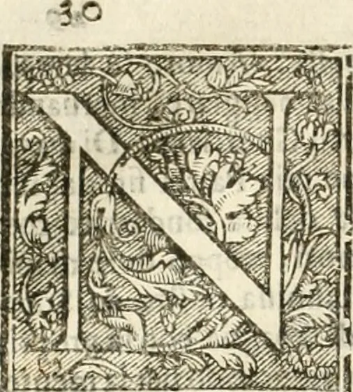 An illustration from Amore prigioniero in Delo : torneo fatto da' signori Academici torbidi in Bologna li XX. di marzo M.DC.XXVIII, 1628, leaf 45