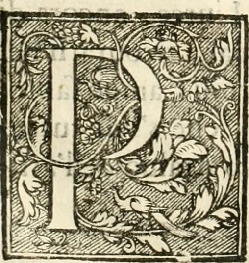 An illustration from Amore prigioniero in Delo : torneo fatto da' signori Academici torbidi in Bologna li XX. di marzo M.DC.XXVIII, 1628, leaf 55