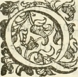An illustration from Amore prigioniero in Delo : torneo fatto da' signori Academici torbidi in Bologna li XX. di marzo M.DC.XXVIII, 1628, leaf 97