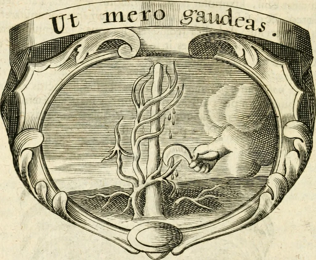 An illustration from Mater amoris et doloris : quam Christus in cruce moriens omnibus ac singulis suis fidelibus in matrem legavit, ecce mater tua : nunc explicata per sacra emblemata, figuras scripturae quàm plurimas, conceptus varios praedicabiles, SS. patrum sententias, raras historias, & pios ad Jesum patientem, ac sanctissimam matrem ejus compatientem affectus : opus omnibus Jesum & Mariam amantibus, praedicantibus, aut meditantibus perutile, com triplici indice considerationum, rerum memorabilium, & concionatorio, formandis per annum concionibus opportuno, 1726, leaf 139