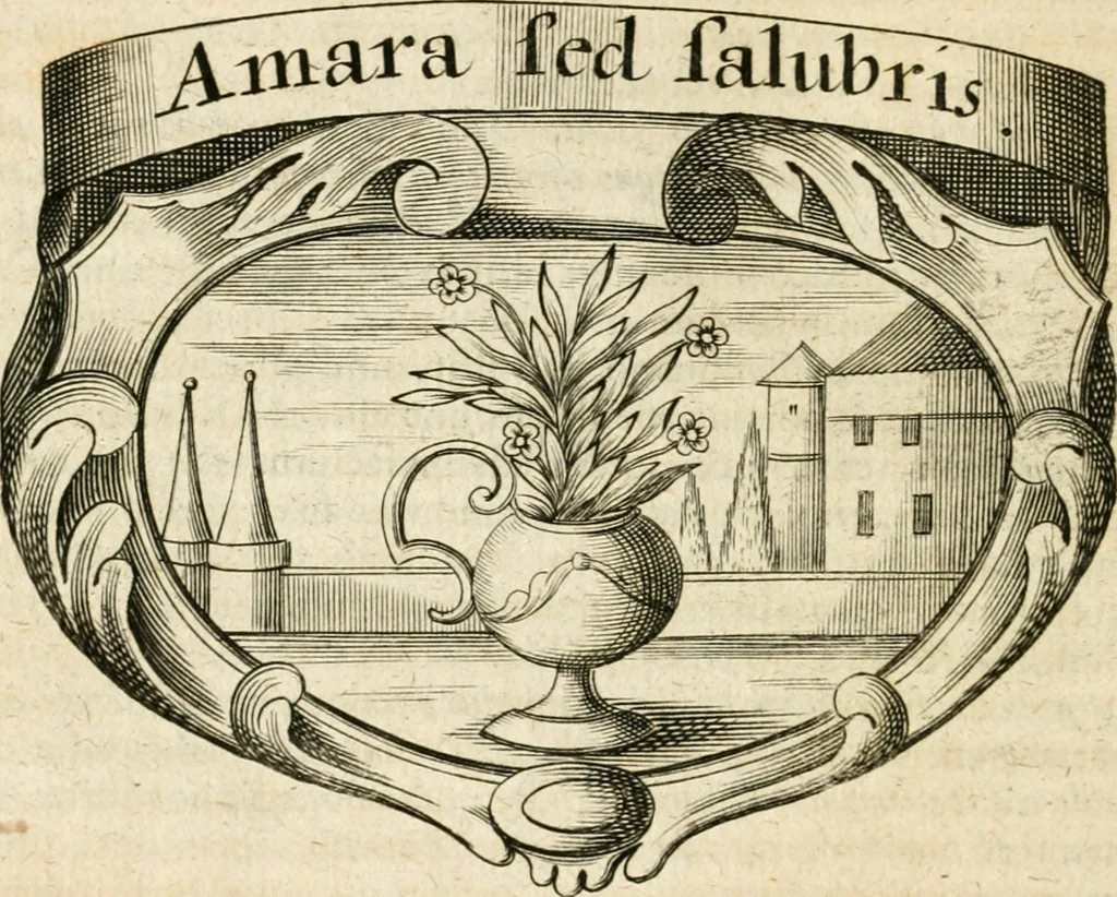 An illustration from Mater amoris et doloris : quam Christus in cruce moriens omnibus ac singulis suis fidelibus in matrem legavit, ecce mater tua : nunc explicata per sacra emblemata, figuras scripturae quàm plurimas, conceptus varios praedicabiles, SS. patrum sententias, raras historias, & pios ad Jesum patientem, ac sanctissimam matrem ejus compatientem affectus : opus omnibus Jesum & Mariam amantibus, praedicantibus, aut meditantibus perutile, com triplici indice considerationum, rerum memorabilium, & concionatorio, formandis per annum concionibus opportuno, 1726, leaf 145