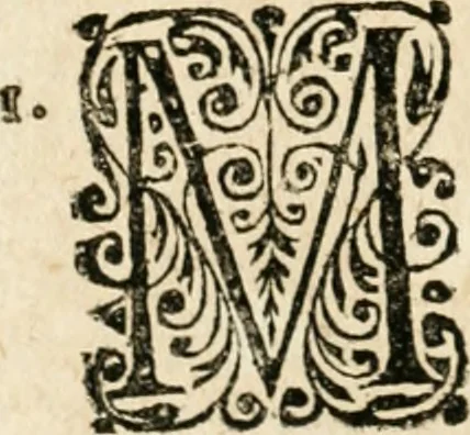 An illustration from Mater amoris et doloris : quam Christus in cruce moriens omnibus ac singulis suis fidelibus in matrem legavit, ecce mater tua : nunc explicata per sacra emblemata, figuras scripturae quàm plurimas, conceptus varios praedicabiles, SS. patrum sententias, raras historias, & pios ad Jesum patientem, ac sanctissimam matrem ejus compatientem affectus : opus omnibus Jesum & Mariam amantibus, praedicantibus, aut meditantibus perutile, com triplici indice considerationum, rerum memorabilium, & concionatorio, formandis per annum concionibus opportuno, 1726, leaf 179