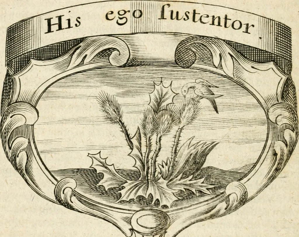 An illustration from Mater amoris et doloris : quam Christus in cruce moriens omnibus ac singulis suis fidelibus in matrem legavit, ecce mater tua : nunc explicata per sacra emblemata, figuras scripturae quàm plurimas, conceptus varios praedicabiles, SS. patrum sententias, raras historias, & pios ad Jesum patientem, ac sanctissimam matrem ejus compatientem affectus : opus omnibus Jesum & Mariam amantibus, praedicantibus, aut meditantibus perutile, com triplici indice considerationum, rerum memorabilium, & concionatorio, formandis per annum concionibus opportuno, 1726, leaf 185