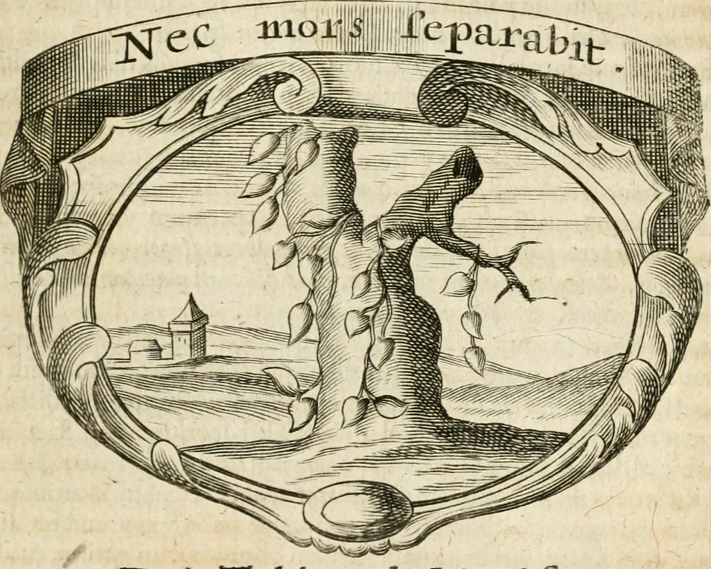 An illustration from Mater amoris et doloris : quam Christus in cruce moriens omnibus ac singulis suis fidelibus in matrem legavit, ecce mater tua : nunc explicata per sacra emblemata, figuras scripturae quàm plurimas, conceptus varios praedicabiles, SS. patrum sententias, raras historias, & pios ad Jesum patientem, ac sanctissimam matrem ejus compatientem affectus : opus omnibus Jesum & Mariam amantibus, praedicantibus, aut meditantibus perutile, com triplici indice considerationum, rerum memorabilium, & concionatorio, formandis per annum concionibus opportuno, 1726, leaf 192