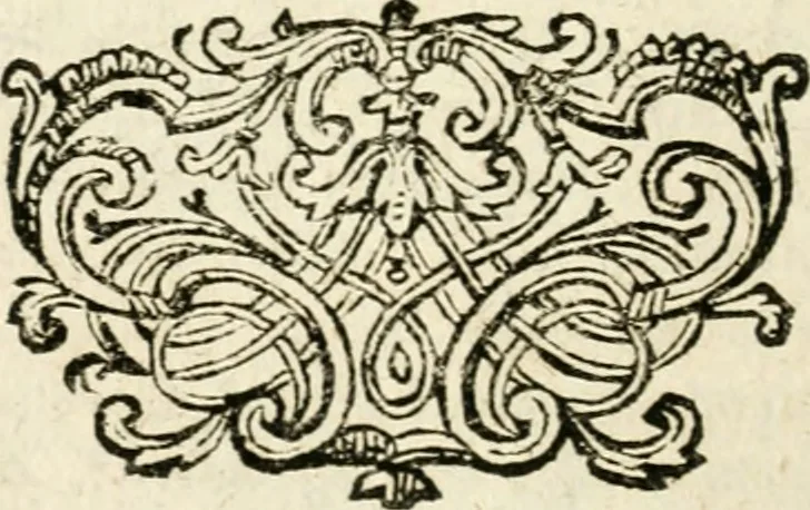 An illustration from Mater amoris et doloris : quam Christus in cruce moriens omnibus ac singulis suis fidelibus in matrem legavit, ecce mater tua : nunc explicata per sacra emblemata, figuras scripturae quàm plurimas, conceptus varios praedicabiles, SS. patrum sententias, raras historias, & pios ad Jesum patientem, ac sanctissimam matrem ejus compatientem affectus : opus omnibus Jesum & Mariam amantibus, praedicantibus, aut meditantibus perutile, com triplici indice considerationum, rerum memorabilium, & concionatorio, formandis per annum concionibus opportuno, 1726, leaf 219