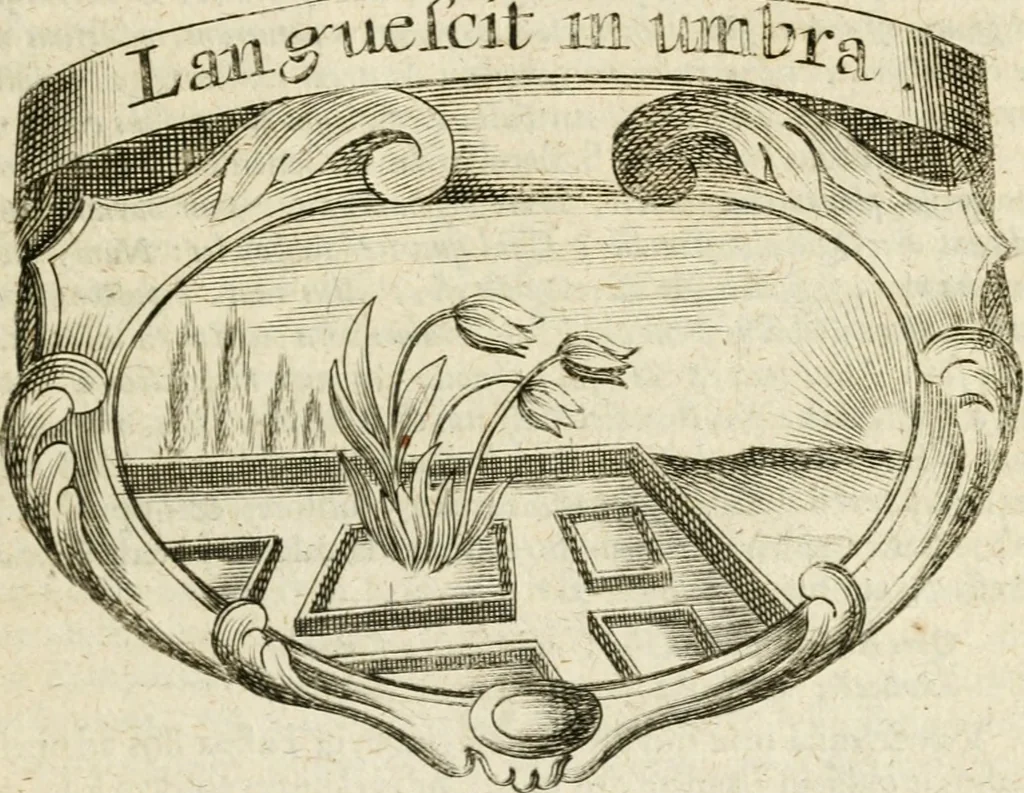 An illustration from Mater amoris et doloris : quam Christus in cruce moriens omnibus ac singulis suis fidelibus in matrem legavit, ecce mater tua : nunc explicata per sacra emblemata, figuras scripturae quàm plurimas, conceptus varios praedicabiles, SS. patrum sententias, raras historias, & pios ad Jesum patientem, ac sanctissimam matrem ejus compatientem affectus : opus omnibus Jesum & Mariam amantibus, praedicantibus, aut meditantibus perutile, com triplici indice considerationum, rerum memorabilium, & concionatorio, formandis per annum concionibus opportuno, 1726, leaf 220