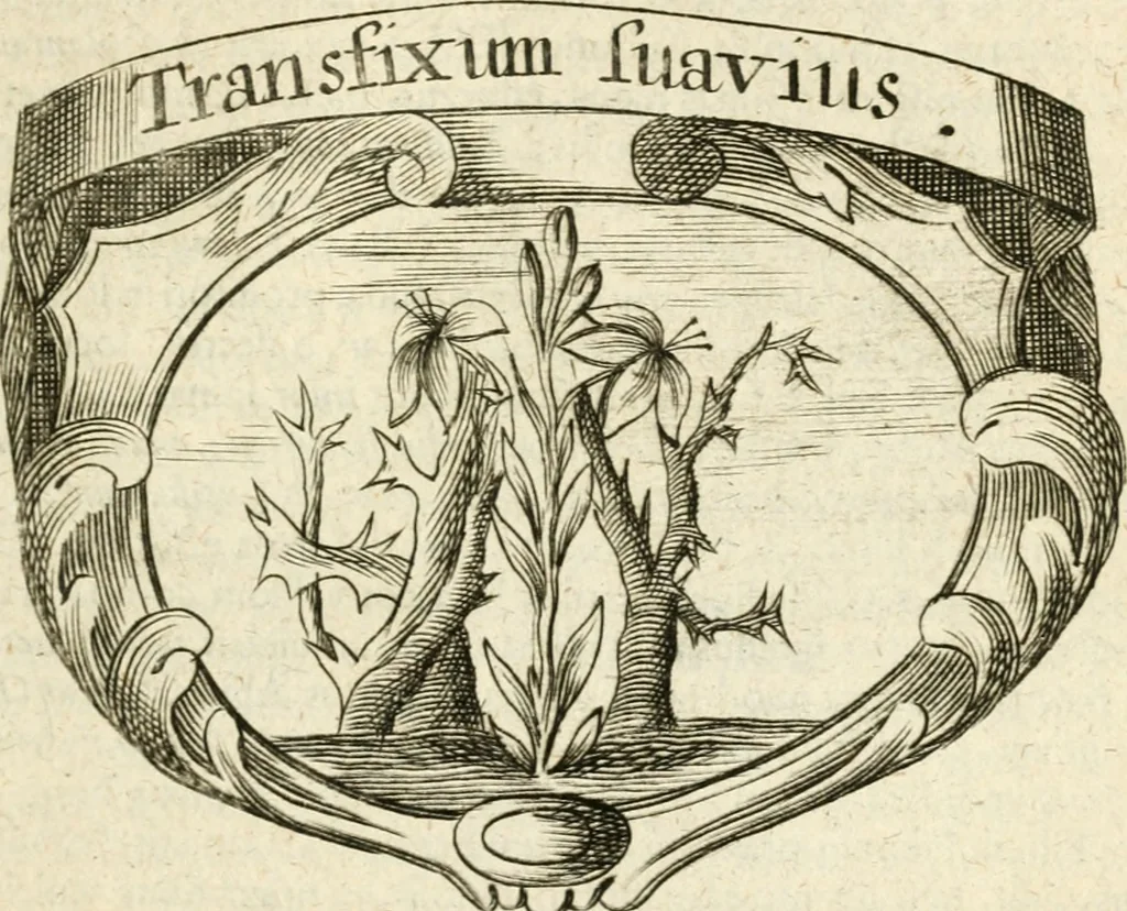 An illustration from Mater amoris et doloris : quam Christus in cruce moriens omnibus ac singulis suis fidelibus in matrem legavit, ecce mater tua : nunc explicata per sacra emblemata, figuras scripturae quàm plurimas, conceptus varios praedicabiles, SS. patrum sententias, raras historias, & pios ad Jesum patientem, ac sanctissimam matrem ejus compatientem affectus : opus omnibus Jesum & Mariam amantibus, praedicantibus, aut meditantibus perutile, com triplici indice considerationum, rerum memorabilium, & concionatorio, formandis per annum concionibus opportuno, 1726, leaf 234