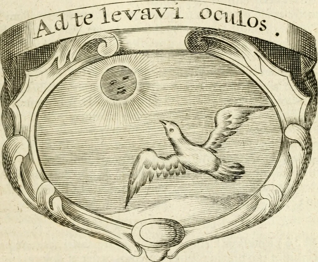 An illustration from Mater amoris et doloris : quam Christus in cruce moriens omnibus ac singulis suis fidelibus in matrem legavit, ecce mater tua : nunc explicata per sacra emblemata, figuras scripturae quàm plurimas, conceptus varios praedicabiles, SS. patrum sententias, raras historias, & pios ad Jesum patientem, ac sanctissimam matrem ejus compatientem affectus : opus omnibus Jesum & Mariam amantibus, praedicantibus, aut meditantibus perutile, com triplici indice considerationum, rerum memorabilium, & concionatorio, formandis per annum concionibus opportuno, 1726, leaf 262