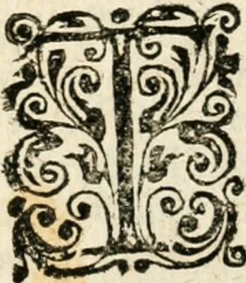 An illustration from Mater amoris et doloris : quam Christus in cruce moriens omnibus ac singulis suis fidelibus in matrem legavit, ecce mater tua : nunc explicata per sacra emblemata, figuras scripturae quàm plurimas, conceptus varios praedicabiles, SS. patrum sententias, raras historias, & pios ad Jesum patientem, ac sanctissimam matrem ejus compatientem affectus : opus omnibus Jesum & Mariam amantibus, praedicantibus, aut meditantibus perutile, com triplici indice considerationum, rerum memorabilium, & concionatorio, formandis per annum concionibus opportuno, 1726, leaf 269