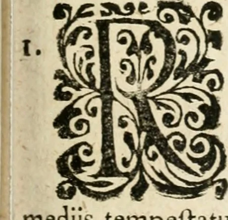 An illustration from Mater amoris et doloris : quam Christus in cruce moriens omnibus ac singulis suis fidelibus in matrem legavit, ecce mater tua : nunc explicata per sacra emblemata, figuras scripturae quàm plurimas, conceptus varios praedicabiles, SS. patrum sententias, raras historias, & pios ad Jesum patientem, ac sanctissimam matrem ejus compatientem affectus : opus omnibus Jesum & Mariam amantibus, praedicantibus, aut meditantibus perutile, com triplici indice considerationum, rerum memorabilium, & concionatorio, formandis per annum concionibus opportuno, 1726, leaf 276