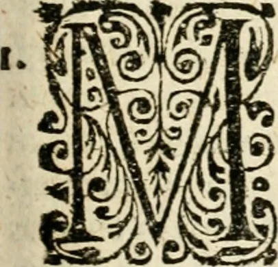 An illustration from Mater amoris et doloris : quam Christus in cruce moriens omnibus ac singulis suis fidelibus in matrem legavit, ecce mater tua : nunc explicata per sacra emblemata, figuras scripturae quàm plurimas, conceptus varios praedicabiles, SS. patrum sententias, raras historias, & pios ad Jesum patientem, ac sanctissimam matrem ejus compatientem affectus : opus omnibus Jesum & Mariam amantibus, praedicantibus, aut meditantibus perutile, com triplici indice considerationum, rerum memorabilium, & concionatorio, formandis per annum concionibus opportuno, 1726, leaf 304