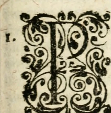 An illustration from Mater amoris et doloris : quam Christus in cruce moriens omnibus ac singulis suis fidelibus in matrem legavit, ecce mater tua : nunc explicata per sacra emblemata, figuras scripturae quàm plurimas, conceptus varios praedicabiles, SS. patrum sententias, raras historias, & pios ad Jesum patientem, ac sanctissimam matrem ejus compatientem affectus : opus omnibus Jesum & Mariam amantibus, praedicantibus, aut meditantibus perutile, com triplici indice considerationum, rerum memorabilium, & concionatorio, formandis per annum concionibus opportuno, 1726, leaf 318