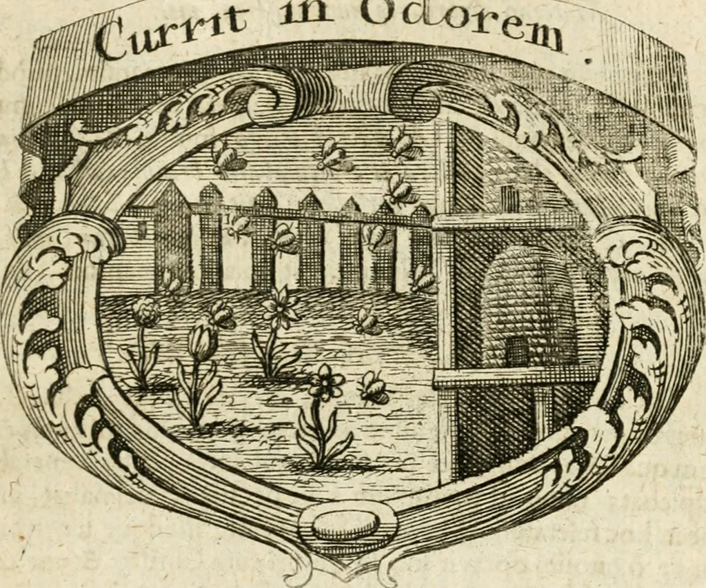 An illustration from Mater amoris et doloris : quam Christus in cruce moriens omnibus ac singulis suis fidelibus in matrem legavit, ecce mater tua : nunc explicata per sacra emblemata, figuras scripturae quàm plurimas, conceptus varios praedicabiles, SS. patrum sententias, raras historias, & pios ad Jesum patientem, ac sanctissimam matrem ejus compatientem affectus : opus omnibus Jesum & Mariam amantibus, praedicantibus, aut meditantibus perutile, com triplici indice considerationum, rerum memorabilium, & concionatorio, formandis per annum concionibus opportuno, 1726, leaf 360