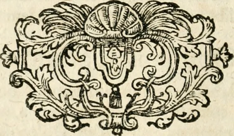An illustration from Mater amoris et doloris : quam Christus in cruce moriens omnibus ac singulis suis fidelibus in matrem legavit, ecce mater tua : nunc explicata per sacra emblemata, figuras scripturae quàm plurimas, conceptus varios praedicabiles, SS. patrum sententias, raras historias, & pios ad Jesum patientem, ac sanctissimam matrem ejus compatientem affectus : opus omnibus Jesum & Mariam amantibus, praedicantibus, aut meditantibus perutile, com triplici indice considerationum, rerum memorabilium, & concionatorio, formandis per annum concionibus opportuno, 1726, leaf 41
