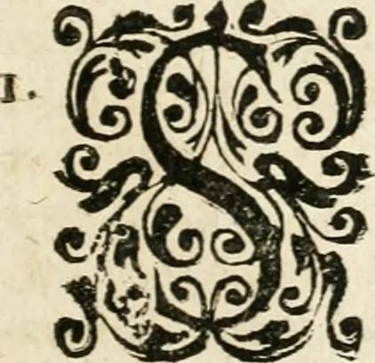 An illustration from Mater amoris et doloris : quam Christus in cruce moriens omnibus ac singulis suis fidelibus in matrem legavit, ecce mater tua : nunc explicata per sacra emblemata, figuras scripturae quàm plurimas, conceptus varios praedicabiles, SS. patrum sententias, raras historias, & pios ad Jesum patientem, ac sanctissimam matrem ejus compatientem affectus : opus omnibus Jesum & Mariam amantibus, praedicantibus, aut meditantibus perutile, com triplici indice considerationum, rerum memorabilium, & concionatorio, formandis per annum concionibus opportuno, 1726, leaf 42