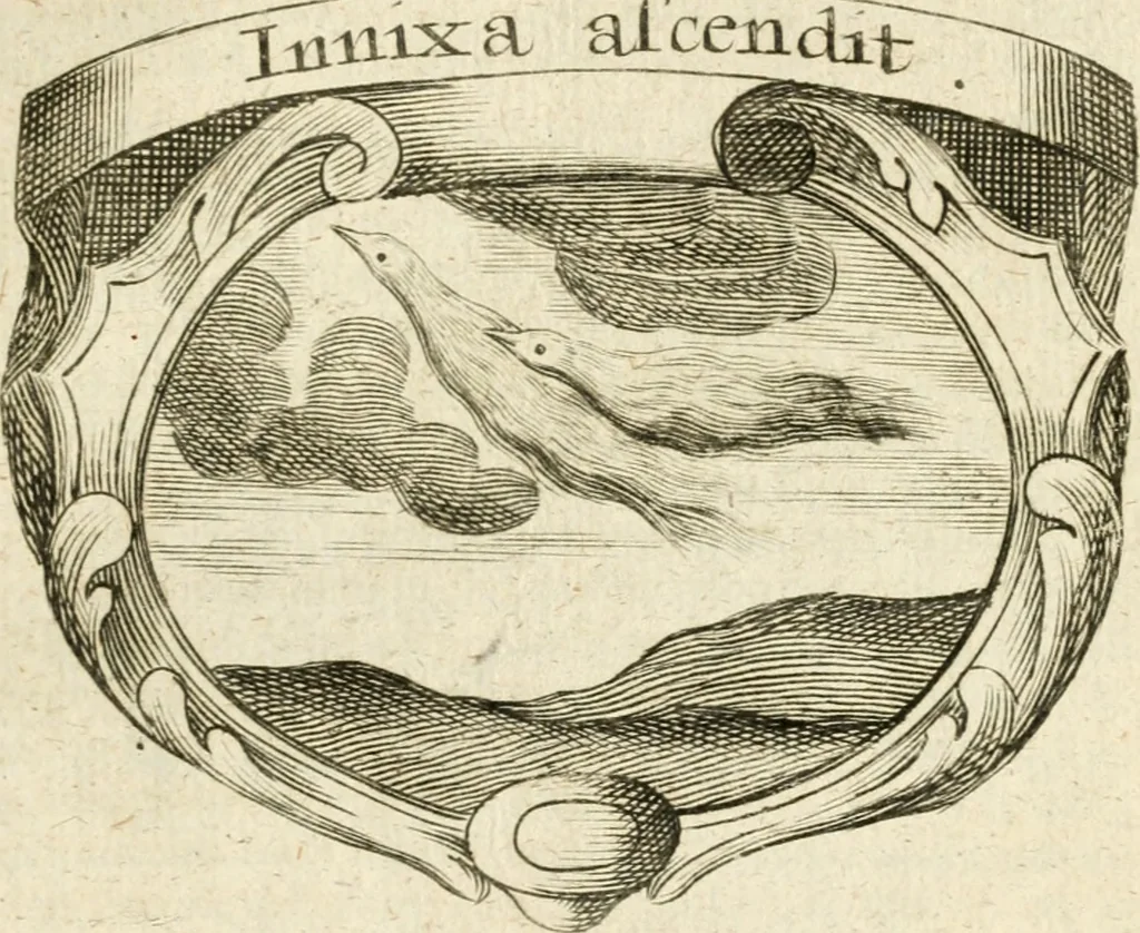 An illustration from Mater amoris et doloris : quam Christus in cruce moriens omnibus ac singulis suis fidelibus in matrem legavit, ecce mater tua : nunc explicata per sacra emblemata, figuras scripturae quàm plurimas, conceptus varios praedicabiles, SS. patrum sententias, raras historias, & pios ad Jesum patientem, ac sanctissimam matrem ejus compatientem affectus : opus omnibus Jesum & Mariam amantibus, praedicantibus, aut meditantibus perutile, com triplici indice considerationum, rerum memorabilium, & concionatorio, formandis per annum concionibus opportuno, 1726, leaf 472