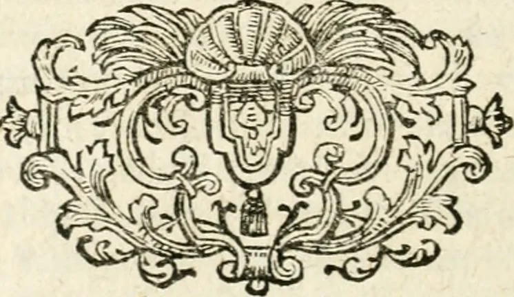 An illustration from Mater amoris et doloris : quam Christus in cruce moriens omnibus ac singulis suis fidelibus in matrem legavit, ecce mater tua : nunc explicata per sacra emblemata, figuras scripturae quàm plurimas, conceptus varios praedicabiles, SS. patrum sententias, raras historias, & pios ad Jesum patientem, ac sanctissimam matrem ejus compatientem affectus : opus omnibus Jesum & Mariam amantibus, praedicantibus, aut meditantibus perutile, com triplici indice considerationum, rerum memorabilium, & concionatorio, formandis per annum concionibus opportuno, 1726, leaf 493