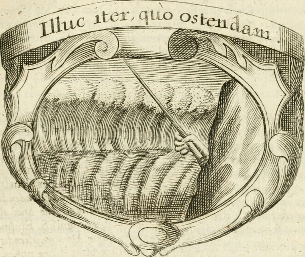 An illustration from Mater amoris et doloris : quam Christus in cruce moriens omnibus ac singulis suis fidelibus in matrem legavit, ecce mater tua : nunc explicata per sacra emblemata, figuras scripturae quàm plurimas, conceptus varios praedicabiles, SS. patrum sententias, raras historias, & pios ad Jesum patientem, ac sanctissimam matrem ejus compatientem affectus : opus omnibus Jesum & Mariam amantibus, praedicantibus, aut meditantibus perutile, com triplici indice considerationum, rerum memorabilium, & concionatorio, formandis per annum concionibus opportuno, 1726, leaf 494