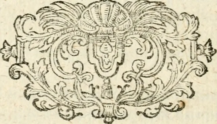 An illustration from Mater amoris et doloris : quam Christus in cruce moriens omnibus ac singulis suis fidelibus in matrem legavit, ecce mater tua : nunc explicata per sacra emblemata, figuras scripturae quàm plurimas, conceptus varios praedicabiles, SS. patrum sententias, raras historias, & pios ad Jesum patientem, ac sanctissimam matrem ejus compatientem affectus : opus omnibus Jesum & Mariam amantibus, praedicantibus, aut meditantibus perutile, com triplici indice considerationum, rerum memorabilium, & concionatorio, formandis per annum concionibus opportuno, 1726, leaf 509
