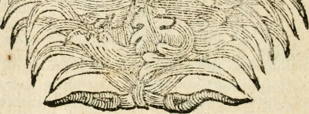 An illustration from Mater amoris et doloris : quam Christus in cruce moriens omnibus ac singulis suis fidelibus in matrem legavit, ecce mater tua : nunc explicata per sacra emblemata, figuras scripturae quàm plurimas, conceptus varios praedicabiles, SS. patrum sententias, raras historias, & pios ad Jesum patientem, ac sanctissimam matrem ejus compatientem affectus : opus omnibus Jesum & Mariam amantibus, praedicantibus, aut meditantibus perutile, com triplici indice considerationum, rerum memorabilium, & concionatorio, formandis per annum concionibus opportuno, 1726, leaf 525