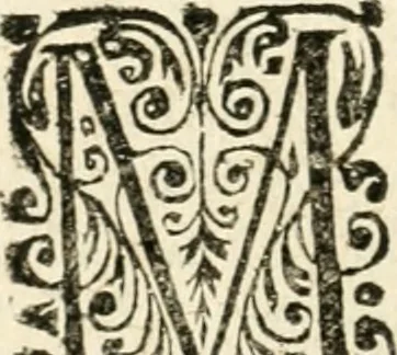 An illustration from Mater amoris et doloris : quam Christus in cruce moriens omnibus ac singulis suis fidelibus in matrem legavit, ecce mater tua : nunc explicata per sacra emblemata, figuras scripturae quàm plurimas, conceptus varios praedicabiles, SS. patrum sententias, raras historias, & pios ad Jesum patientem, ac sanctissimam matrem ejus compatientem affectus : opus omnibus Jesum & Mariam amantibus, praedicantibus, aut meditantibus perutile, com triplici indice considerationum, rerum memorabilium, & concionatorio, formandis per annum concionibus opportuno, 1726, leaf 55