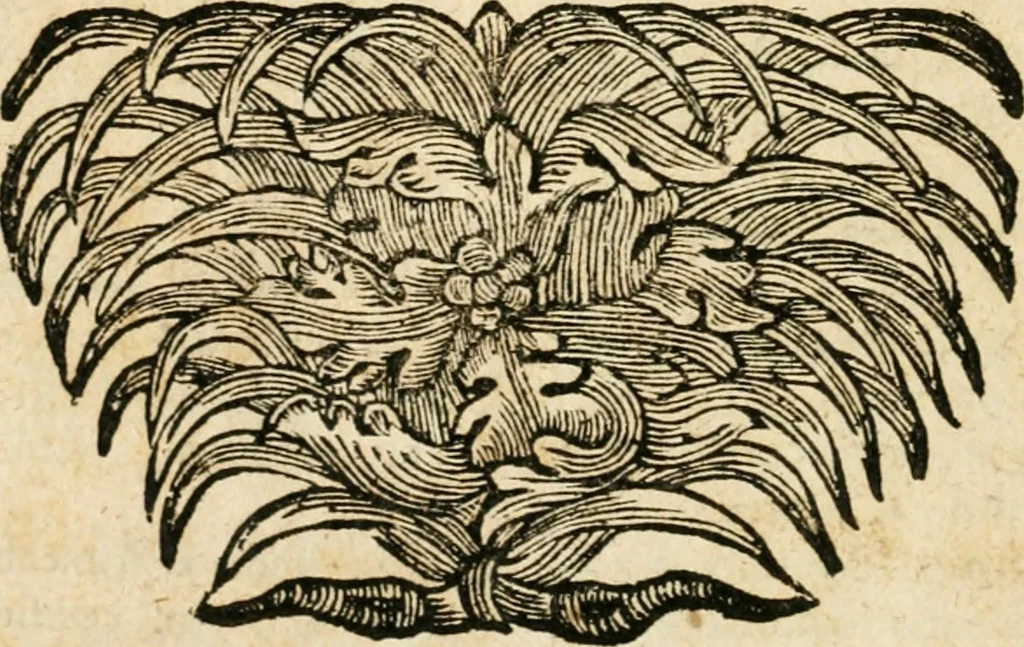 An illustration from Mater amoris et doloris : quam Christus in cruce moriens omnibus ac singulis suis fidelibus in matrem legavit, ecce mater tua : nunc explicata per sacra emblemata, figuras scripturae quàm plurimas, conceptus varios praedicabiles, SS. patrum sententias, raras historias, & pios ad Jesum patientem, ac sanctissimam matrem ejus compatientem affectus : opus omnibus Jesum & Mariam amantibus, praedicantibus, aut meditantibus perutile, com triplici indice considerationum, rerum memorabilium, & concionatorio, formandis per annum concionibus opportuno, 1726, leaf 571