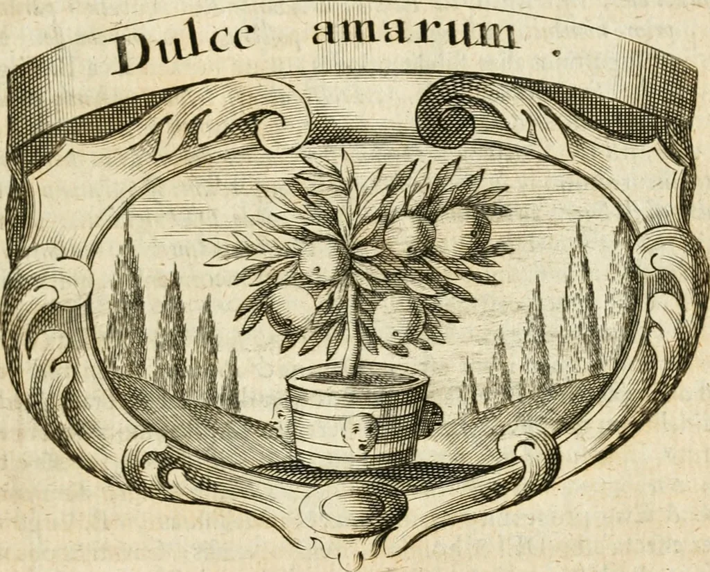 An illustration from Mater amoris et doloris : quam Christus in cruce moriens omnibus ac singulis suis fidelibus in matrem legavit, ecce mater tua : nunc explicata per sacra emblemata, figuras scripturae quàm plurimas, conceptus varios praedicabiles, SS. patrum sententias, raras historias, & pios ad Jesum patientem, ac sanctissimam matrem ejus compatientem affectus : opus omnibus Jesum & Mariam amantibus, praedicantibus, aut meditantibus perutile, com triplici indice considerationum, rerum memorabilium, & concionatorio, formandis per annum concionibus opportuno, 1726, leaf 62